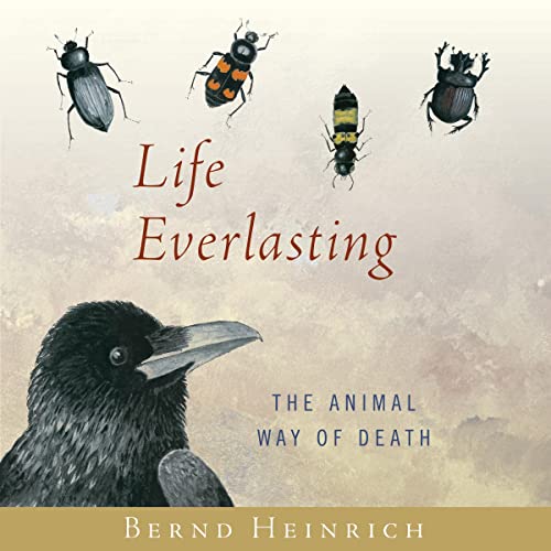 Cover of Life Everlasting