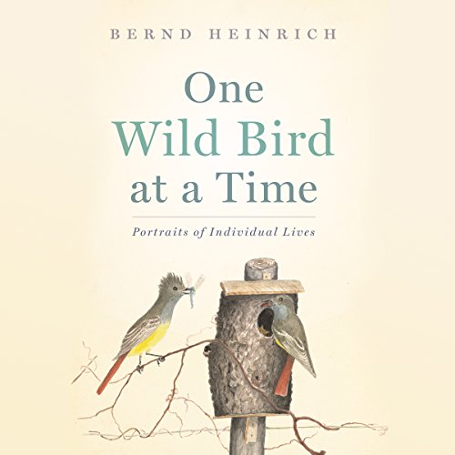 Cover of One Wild Bird at a Time