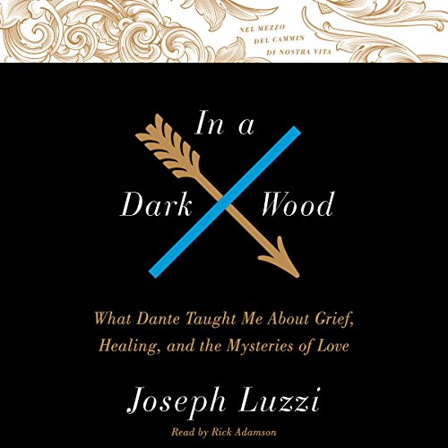 Cover of In A Dark Wood