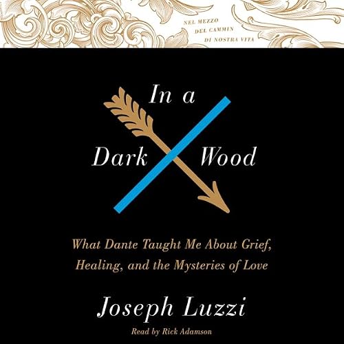 Cover of In A Dark Wood
