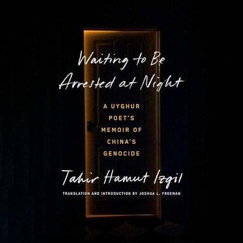 Cover of Waiting to Be Arrested at Night