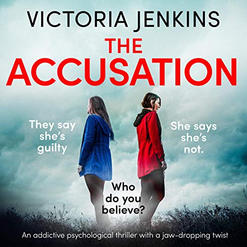 Cover of The Accusation