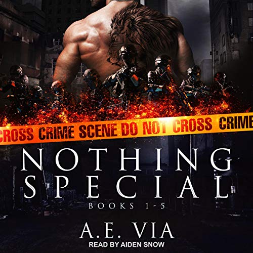 Cover of Nothing Special Series Box Set
