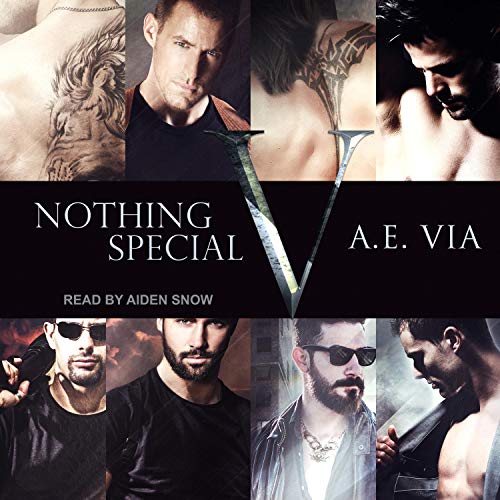 Cover of Nothing Special V