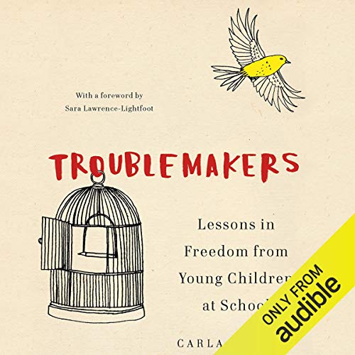 Cover of Troublemakers