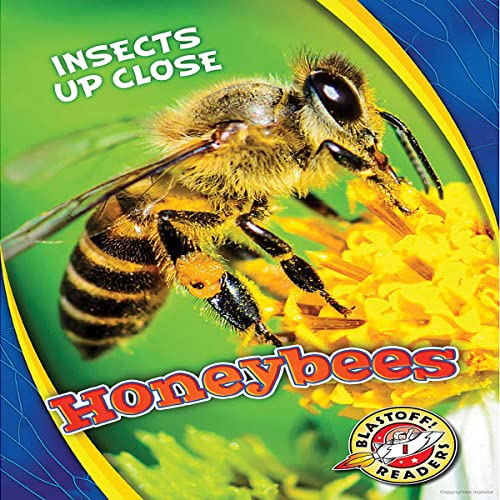 Cover of Insects Up Close: Honeybees