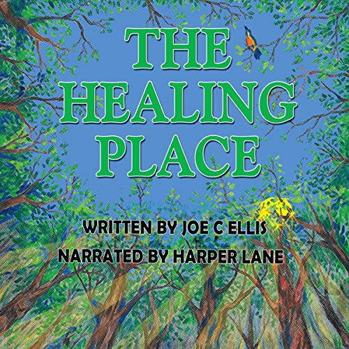 Cover of The Healing Place
