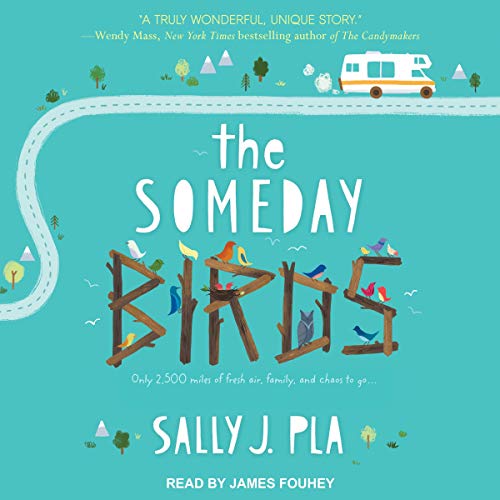 Cover of The Someday Birds