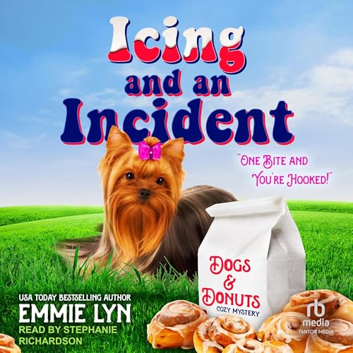 Cover of Icing and an Incident