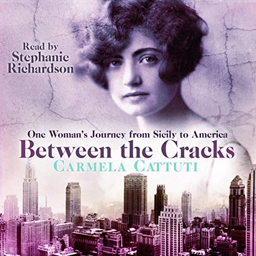 Cover of Between the Cracks