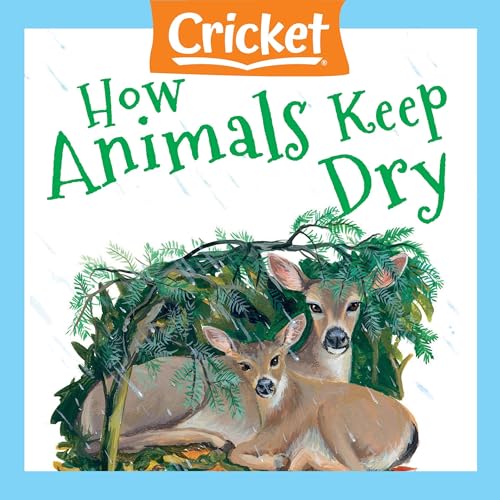 Cover of How Animals Keep Dry