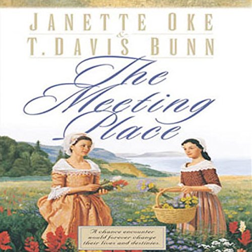 Cover of The Meeting Place