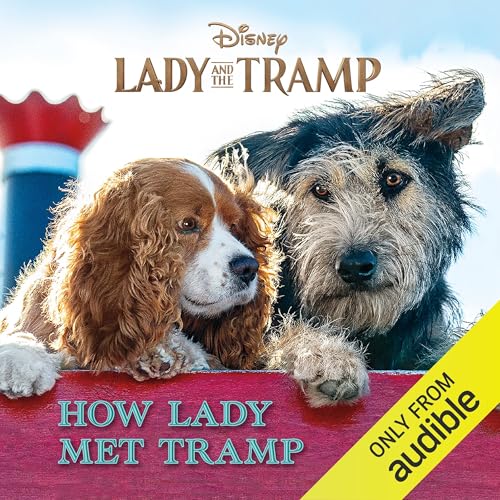 Cover of Lady and the Tramp: How Lady Met Tramp