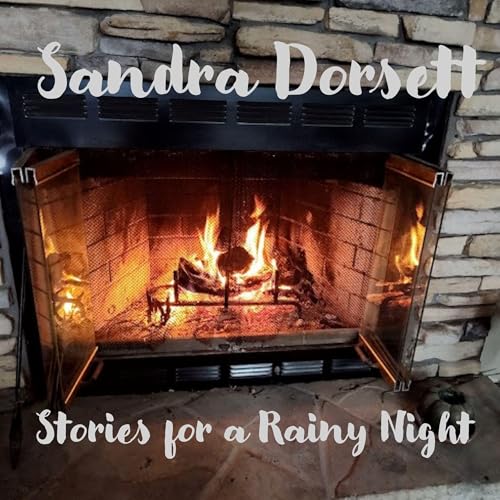 Cover of Stories for a Rainy Night