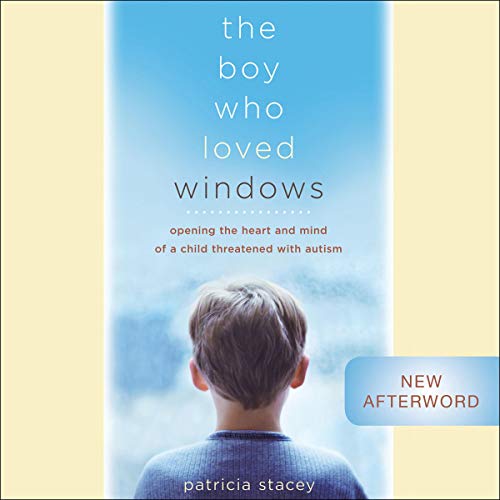 Cover of The Boy Who Loved Windows