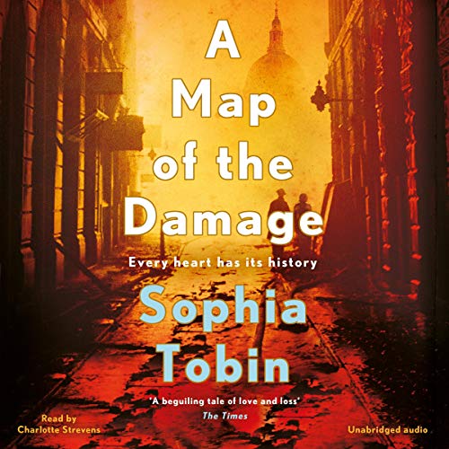Cover of A Map of the Damage