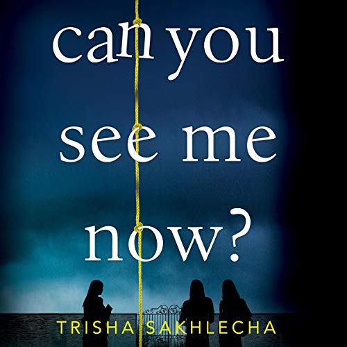 Cover of Can You See Me Now?