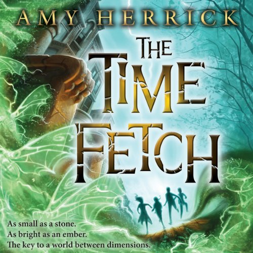 Cover of The Time Fetch