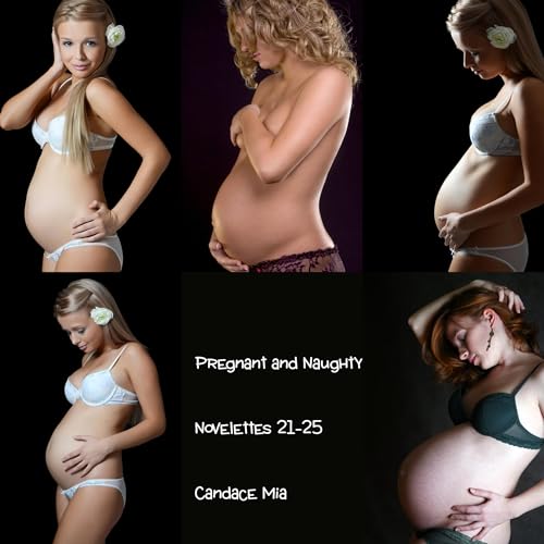 Cover of Pregnant and Naughty, Novelettes 21-25