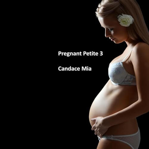 Cover of Pregnant Petite 3