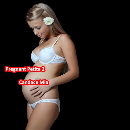 Cover of Pregnant Petite 2