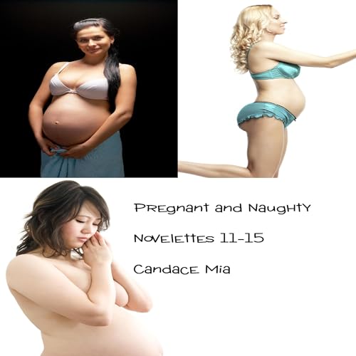Cover of Pregnant and Naughty, Novelettes 11-15