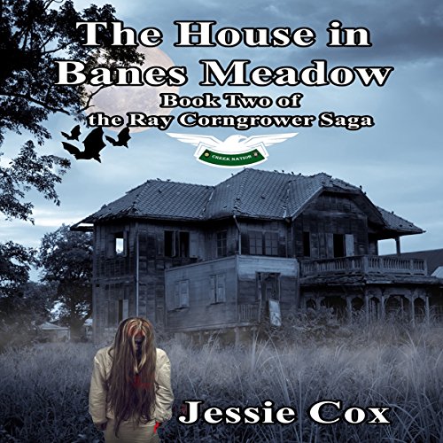 Cover of The House in Banes Meadow