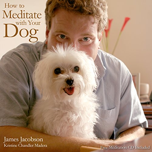 Cover of How to Meditate with Your Dog