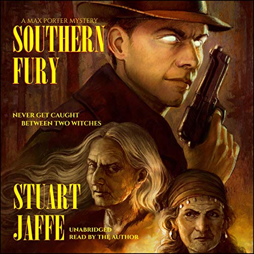 Cover of Southern Fury