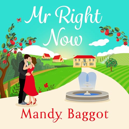 Cover of Mr Right Now
