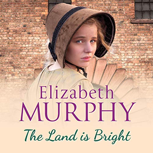 Cover of The Land Is Bright