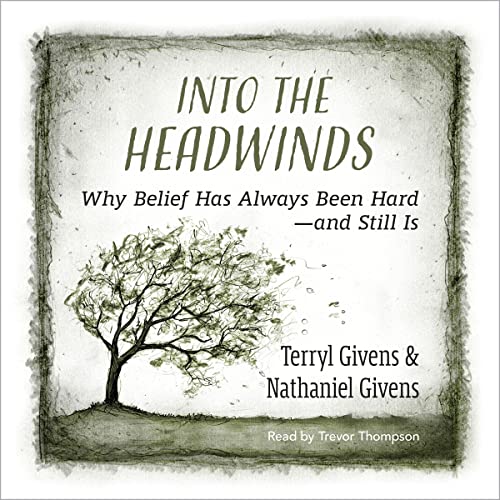 Cover of Into the Headwinds