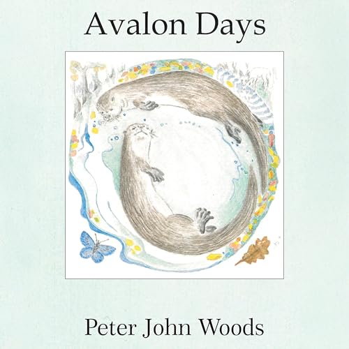 Cover of Avalon Days
