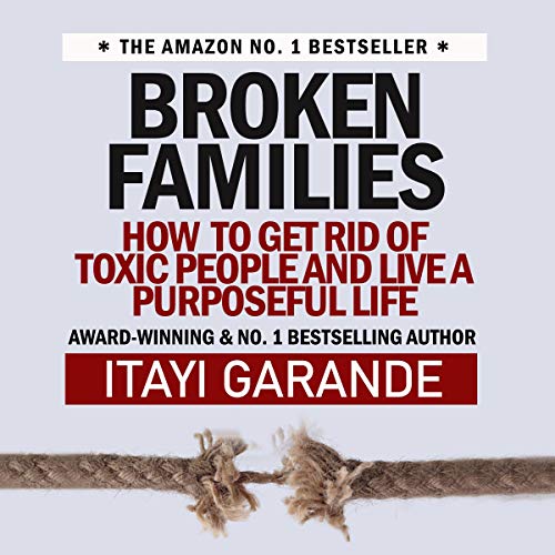 Cover of Broken Families