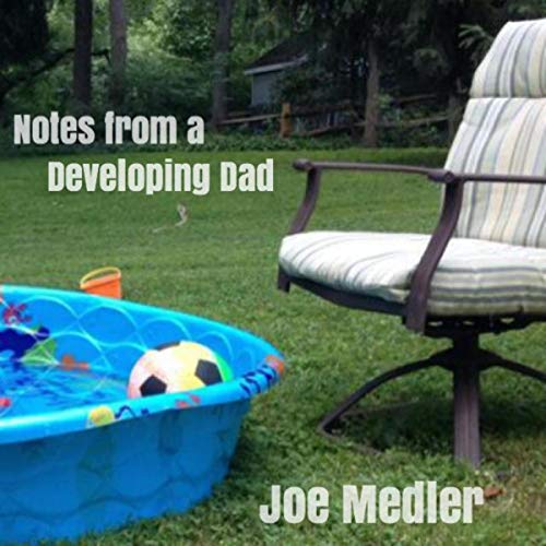 Cover of Notes from a Developing Dad