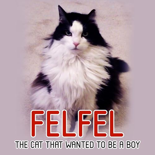 Cover of Felfel