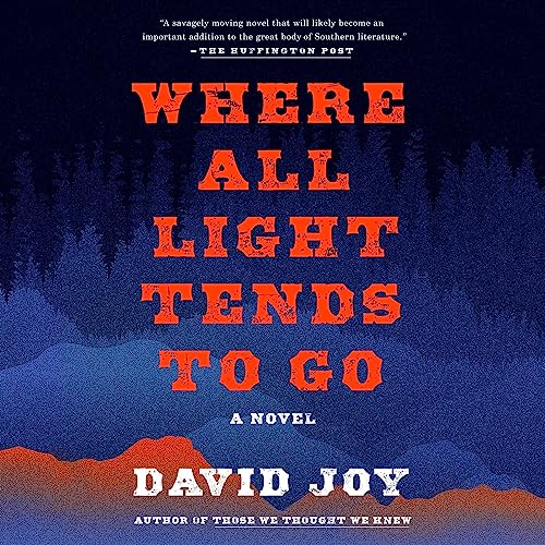 Cover of Where All Light Tends to Go
