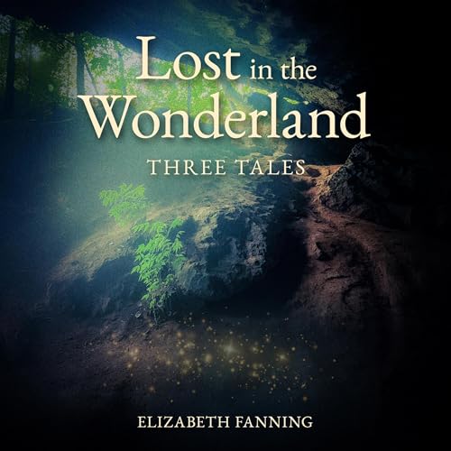 Cover of Lost in the Wonderland