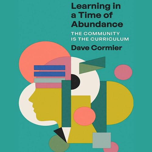 Cover of Learning in a Time of Abundance