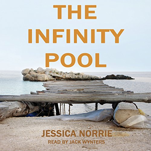 Cover of The Infinity Pool