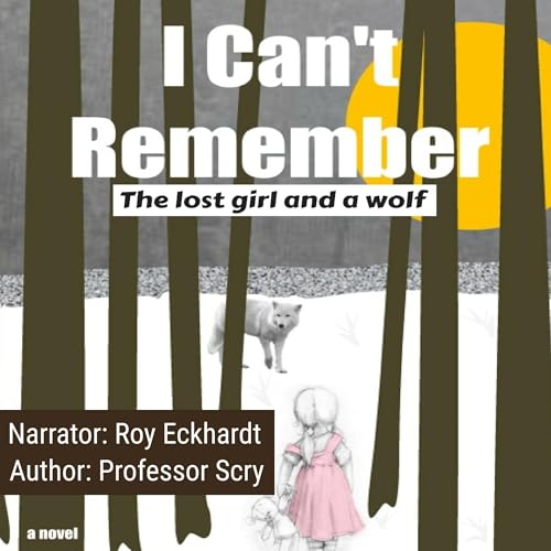 Cover of I Can't Remember