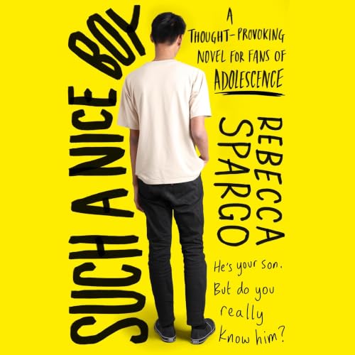 Cover of Such a Nice Boy