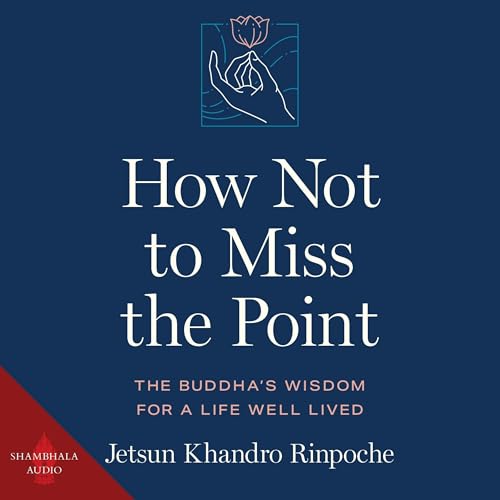 Cover of How Not to Miss the Point