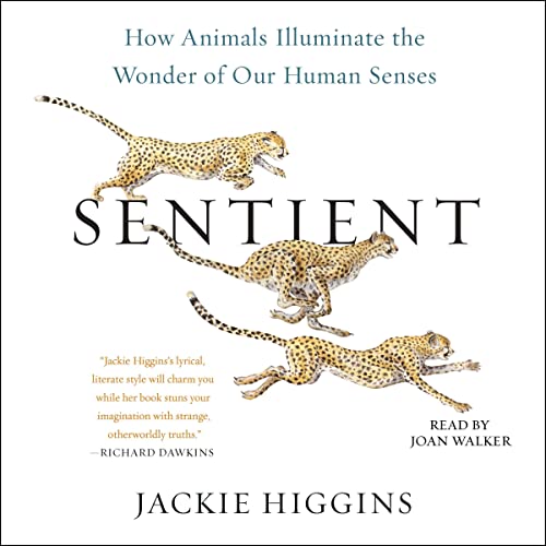 Cover of Sentient