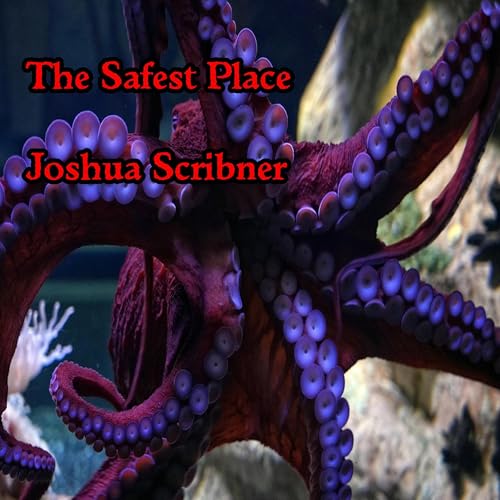 Cover of The Safest Place