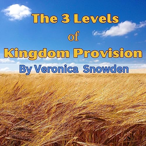 Cover of The 3 Levels of Kingdom Provision