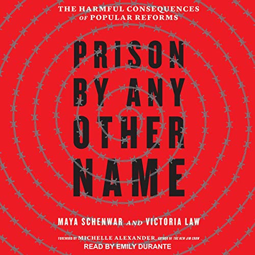 Cover of Prison by Any Other Name