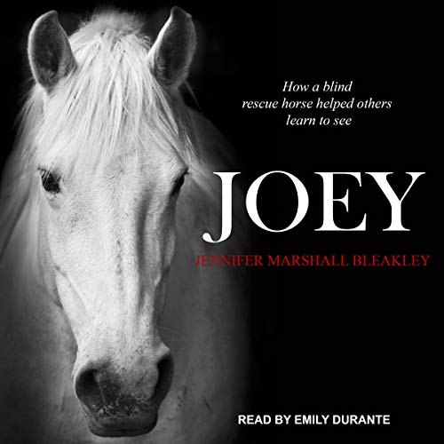 Cover of Joey