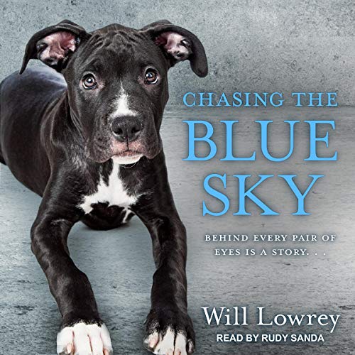 Cover of Chasing the Blue Sky