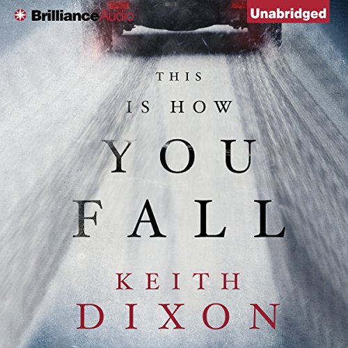 Cover of This Is How You Fall